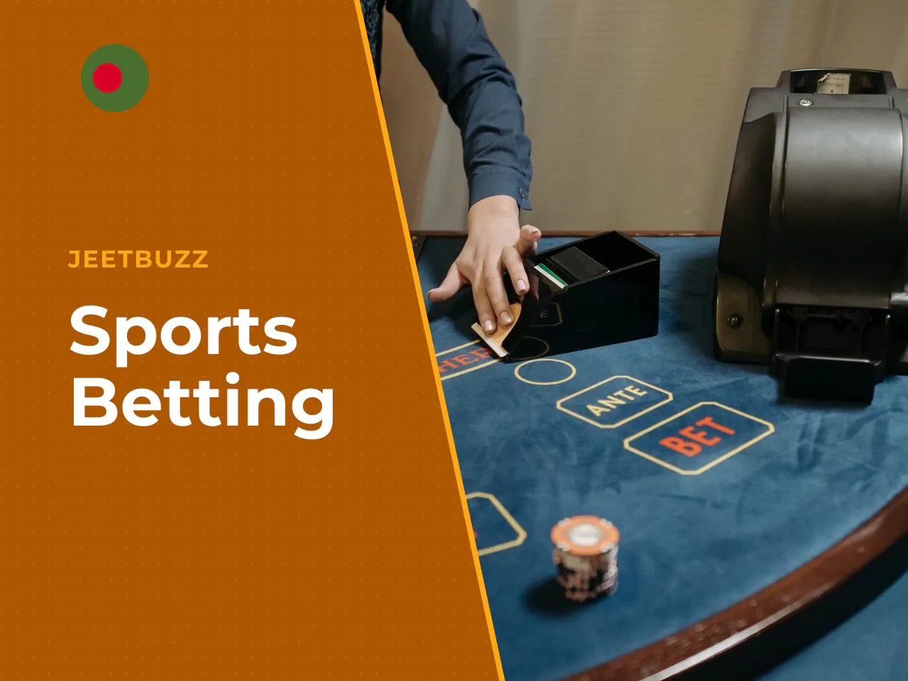 Sports Betting, JeetBuzz Casino and Live Experience. The platform divides its content into three broad verticals. Sports betting covers pre-match and live markets across cricket, football, tennis and 